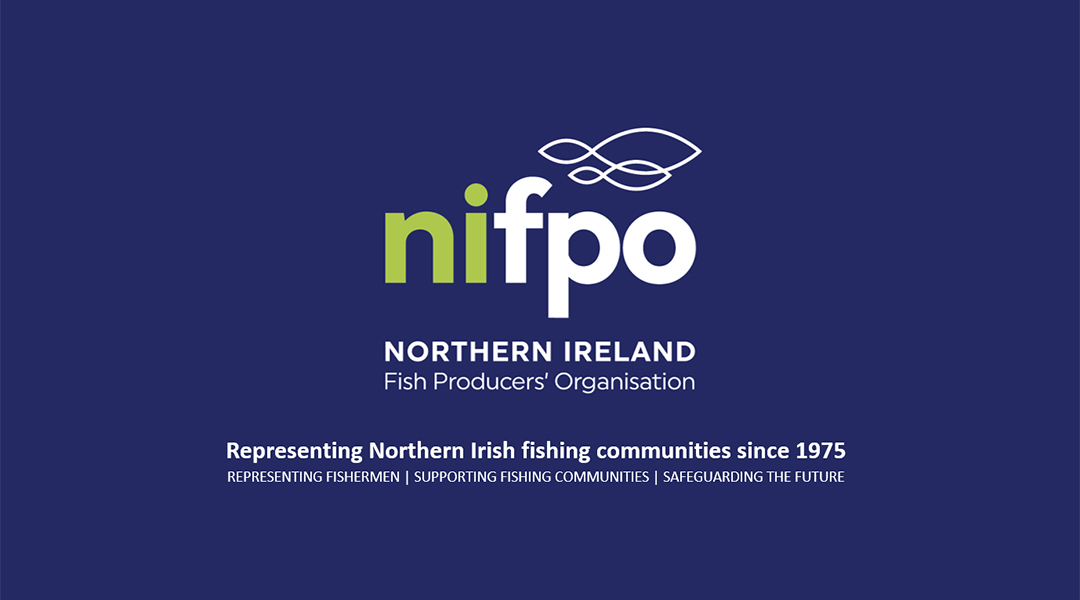 NIFPO - Northern Ireland Fish Producers Organisation - new logo brand